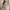 Bangkok Beige Milkmaid Corset Top Puff Sleeve | Katun Poplin photo 2