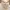 Bangkok Beige Milkmaid Corset Top Puff Sleeve | Katun Poplin photo 4