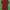 Giordano Avant Garde Polo shirt Pria red photo 1