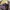 Y2k Grunge Emo Goth Vkei Ramones Leather Jacket Japan photo 6