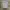 Kaos COLUMBIA Branded Grey Tee TShirt Big Size photo 2