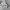 CHEONGSAM BOXY SHIRT BY CKF photo 5