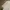 Kemeja PERRY ELLIS Branded Short White Sleeve Big Size photo 7