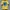 Gildan Vintage Streetwear T-shirt Pria Blue Yellow