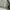 Covernat Padded Warm Jacket Cream photo 7
