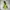 Lafuma Gorpcore Windstopper Outdoor Jacket photo 1