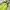 Lafuma Gorpcore Windstopper Outdoor Jacket photo 5