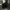 Vans sk8 Low Contrast Black White photo 6