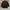 Mainhighway Blazer Corduray Brown - Jas/Blazer Pria photo 5
