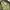 Alberto Blazer Outer Olive Green - Jas/Blazer Pria photo 4