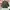 Alberto Blazer Outer Olive Green - Jas/Blazer Pria photo 2