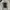 Polo Ralph Lauren Casual Polo shirt Pria black photo 1