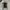Polo Ralph Lauren Casual Polo Shirt Pria Black