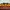 Coogi Style Modigliani Italy 3D Pattern photo 2
