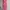 Summer Belle local brand bali maxi open back dress photo 1