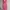 Summer Belle Local Brand Bali Maxi Open Back Dress