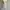 Sorella lingerie night gown dress lace coquette y2k photo 3