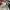 Vans Sk8 Low Black White photo 7