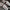Vans Sk8 Low Black White photo 4