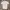 Burberry Luxury Polo shirt Pria white photo 2