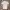 Burberry Luxury Polo shirt Pria white photo 3