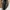 brown embroidered velvet crossbody bag  photo 3