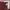 Global Work Vintage Casual Jeans Pria burgundy red photo 6