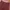 Global Work Vintage Casual Jeans Pria burgundy red photo 4