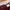 Global Work Vintage Casual Jeans Pria burgundy red photo 7