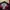 Wallis maroon blazer Ld 94cm Pj photo 3