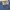 Street jeans Jorts pants  photo 8