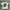 Vintage Streetwear T-shirt Pria white green photo 1