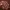 Lee Vintage Streetwear Sweatshirt Pria tan brown photo 3