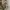 US Army Uniform Combat Ripstop Jacket photo 6