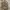 US Army Uniform Combat Ripstop Jacket photo 8