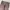 Billabong y2k bootcut corduroy Pants photo 2