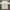 Acme De La Vie  Streetwear Casual T-shirt Pria Yellow