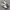 Nike cortez photo 3