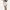 White tennis / padel skirt photo 2