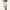 White Tennis / Padel Skirt