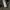 Carhartt Detroit Jacket J97 FWD photo 4