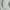 Polo Ralph Lauren Jeans Co Button Down White Shirt photo 7