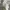 Polo Ralph Lauren Jeans Co Button Down White Shirt photo 8