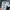 Celana Jeans Anak Levi's 514 Original Size 3T (2–3 Tahun) photo 6