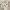 Journal Standard Japanese Beige French Work Blazer Jacet photo 10