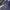 Abercrombie & Fitch Casual Sweater Pria navy photo 4