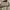 amazara heels nadine 7 cm tan photo 4