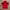 Adidas Streetwear Casual Track jacket Pria red photo 4