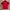 Adidas Streetwear Casual Track jacket Pria red photo 2