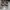 Keds Futurist Summer dress Wanita white photo 3